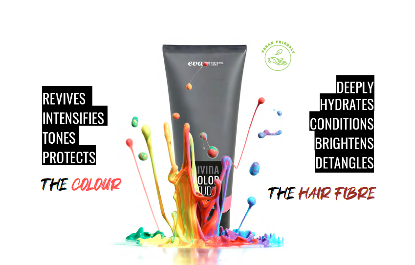 divina color studio2